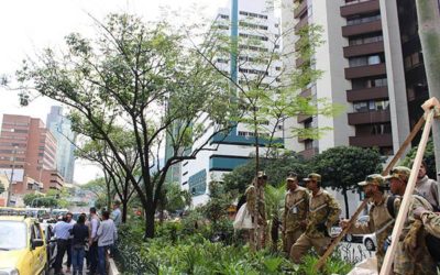 Así quedó el corredor verde de la Avenida Oriental