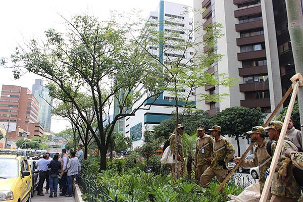 Así quedó el corredor verde de la Avenida Oriental