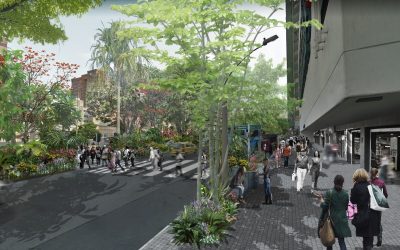 Es una realidad: La Avenida Oriental será reverdecida